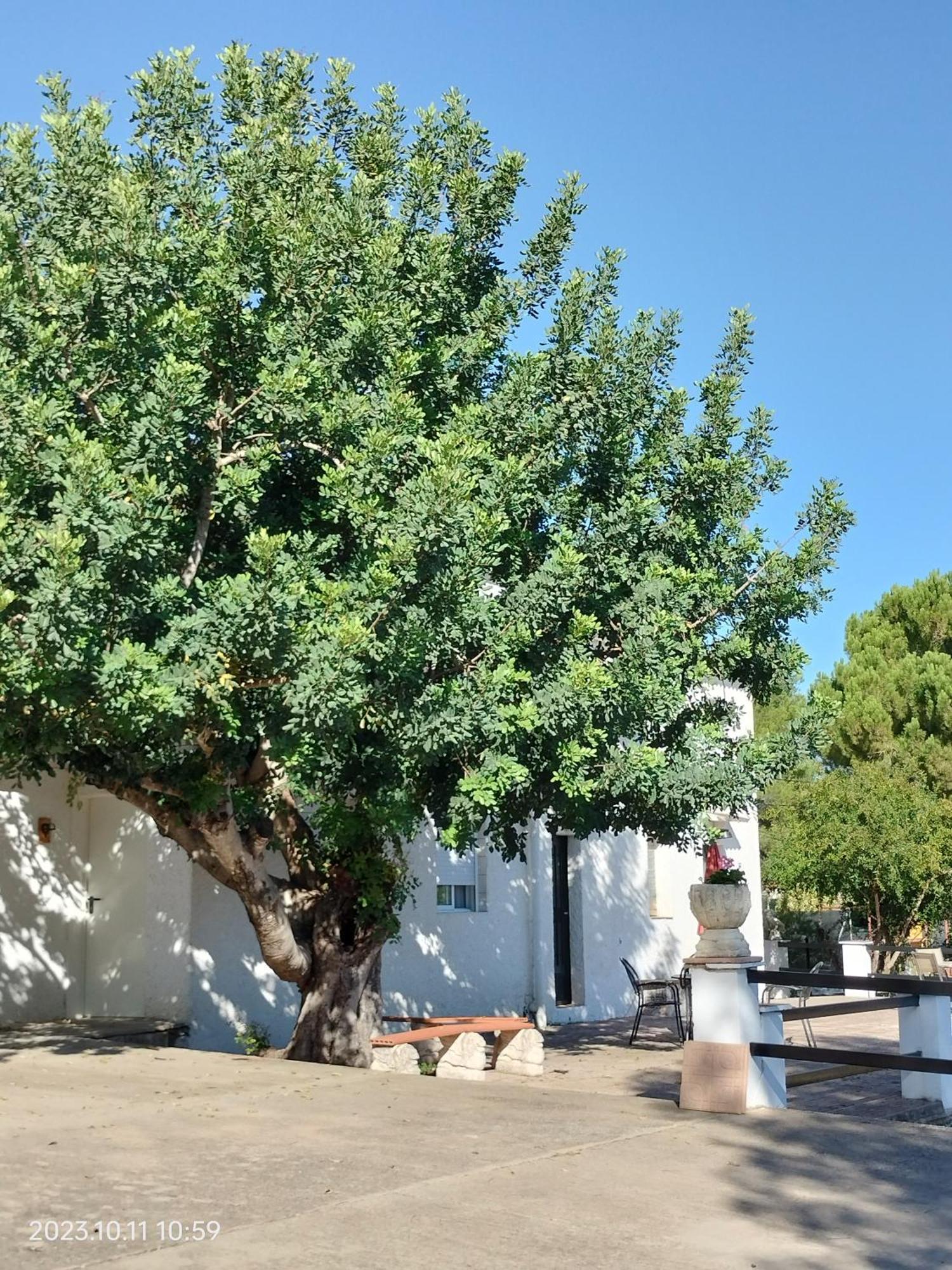 Bed and Breakfast Casa Mas Montanas Godelleta Exterior foto
